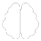 tVNS & taVNS Neuromodulation