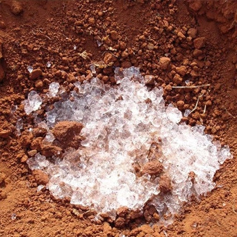SAP (super absorbent polymer) for gardens