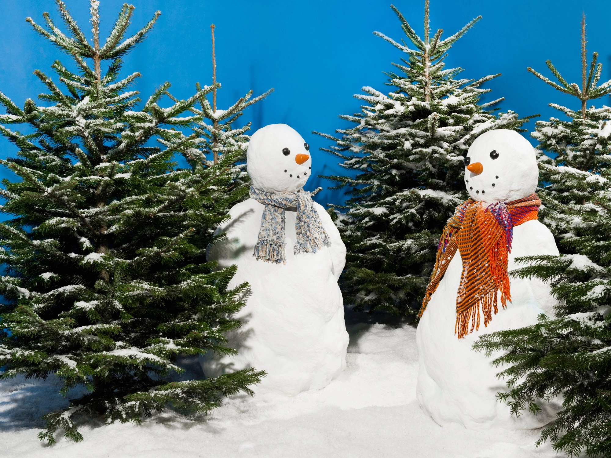 SAP artificial snow effect