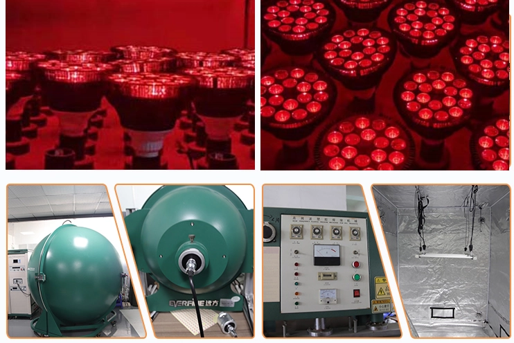 fisioterapia fisioterapia halógena luz LED lâmpada de calor infravermelho