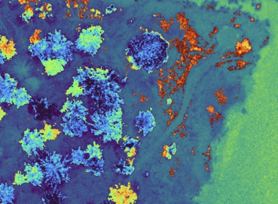<img data-cke-saved-src=”https://cdn.cloudbf.com/webp-png/files/62/img/2023/06/12/202306121425470106273.webp” alt=“multispectral camera for agriculture”/>