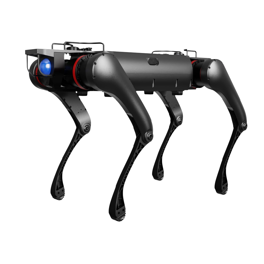 Robot quadrupede medio YQ-D30