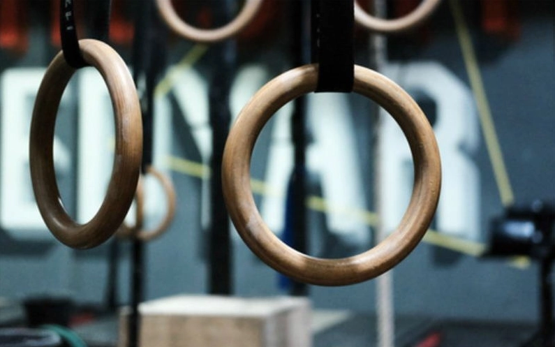 Ring Dips-Übung Führer und Vorteile