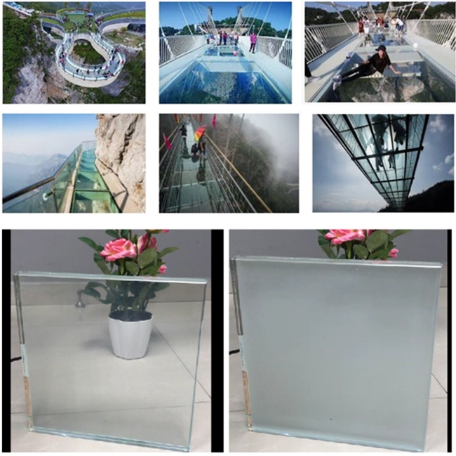 switchable smart glass floor