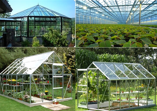 3mm ultra clear float glass for green house