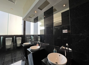 Salamin ng pilak na banyo