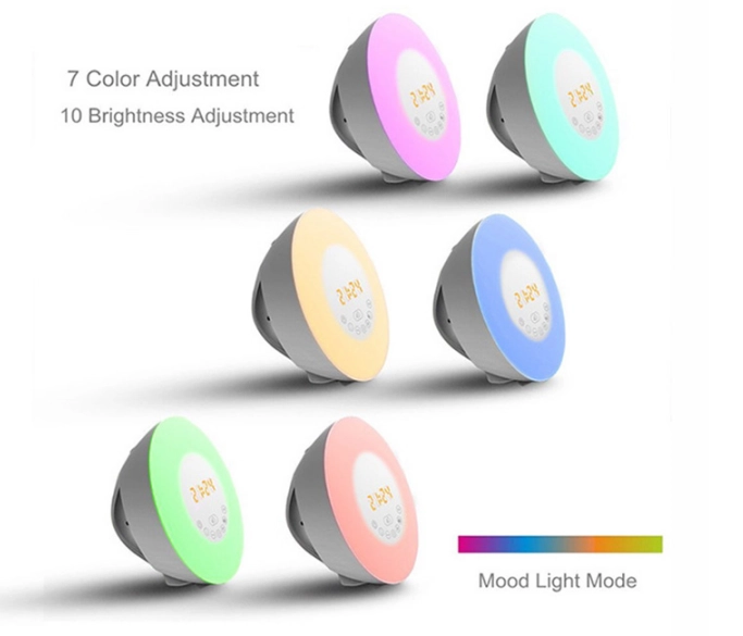 Portable Wireless Speaker