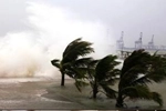 Typhoon comes- our humanistic care Typhoon comes- our humanistic care
