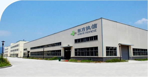 Company profile