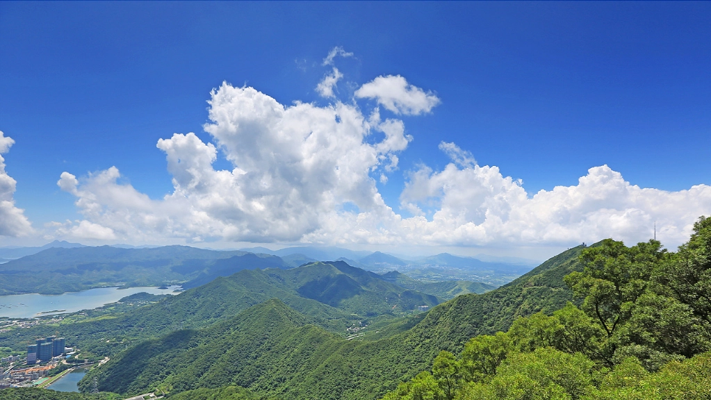 Wutong Moutain
