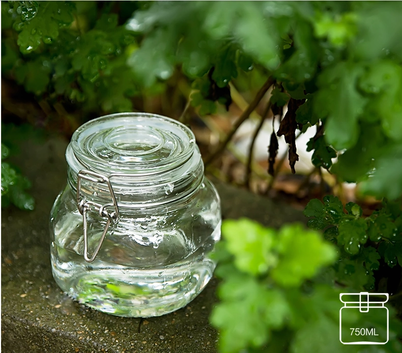glass containers with lids wholesale