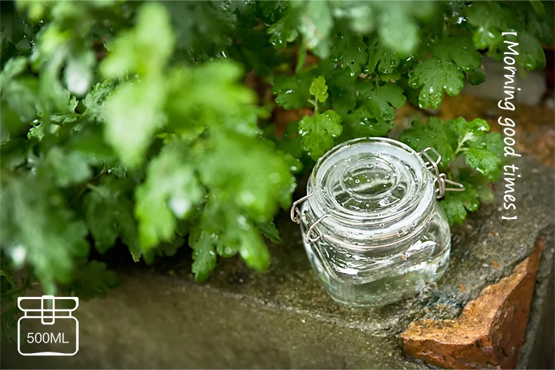 glass containers with lids wholesale