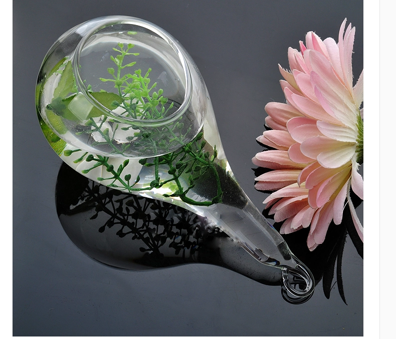 hanging glass vase