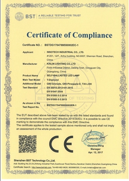 Vintage LED gloeilamp EMC Test rapport