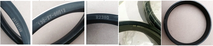 76.90 H-60 Goetze Floating Seals Replacement Manufacturer