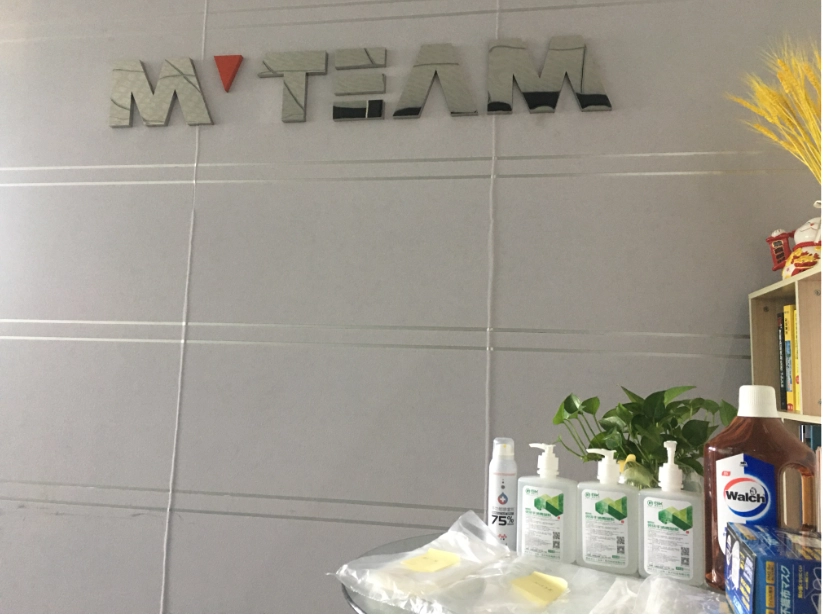 MVTEAM Resume Work On Feb 10th, 2020
