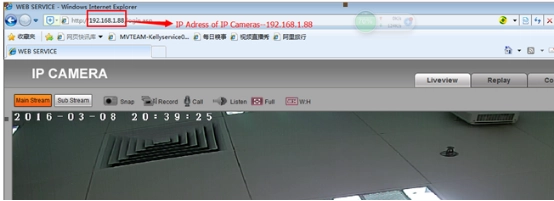 view ip camera on ie broweser
